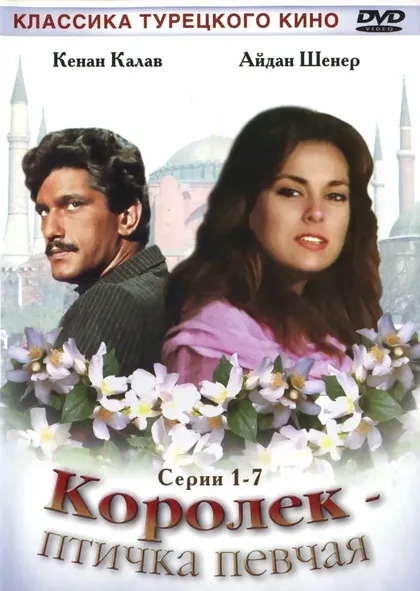 Эсра Эрбилишик