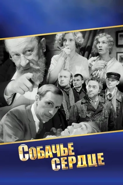 Нора Грякалова