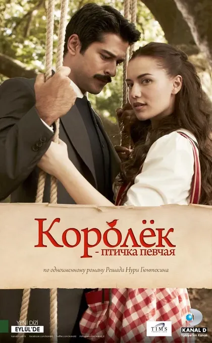 Бурак Озчивит