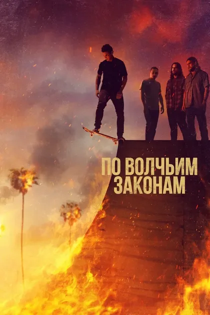 Шон Хэтоси